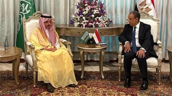 Egyptian and Saudi FMs