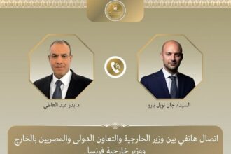 Egyptians and French FMs