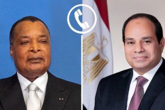 President Sisi and Congo President