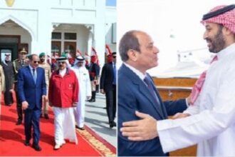 Sisi in Gulf