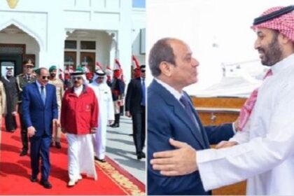 Sisi in Gulf