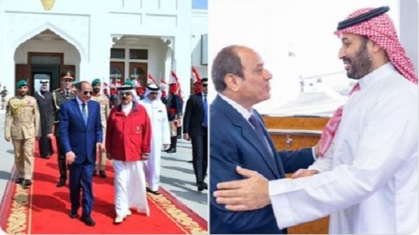 Sisi in Gulf