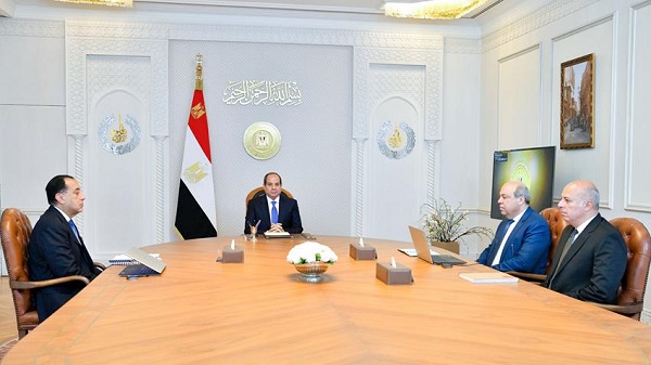 Sisi aviation sector