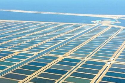 Al Fayrouz fish farm