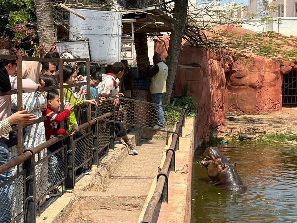 Alex Zoo