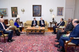 Egypt FM and French Amb