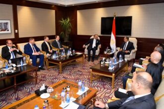 Egypt FM and US envoy