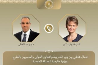 Egypt and UK FMs