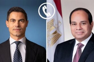 SIsi and Dutch PM1