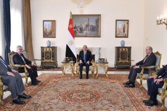 Sisi and Aviation