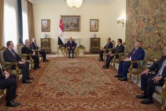 Sisi and US envoy