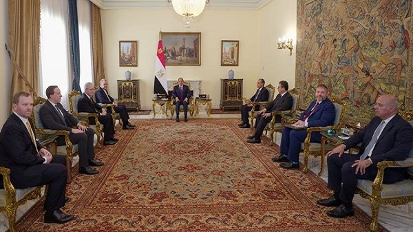 Sisi and US envoy