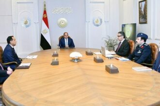 Sisi food security