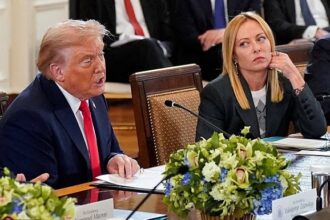Trump Meloni