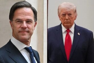 Trump Rutte