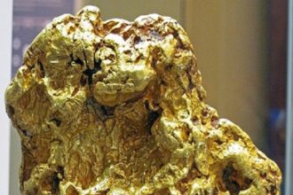 Gold nugget