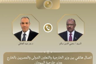 Egyptian and Sudanese FMs