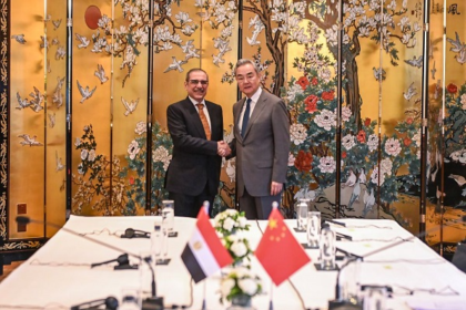 China FM Egypt security
