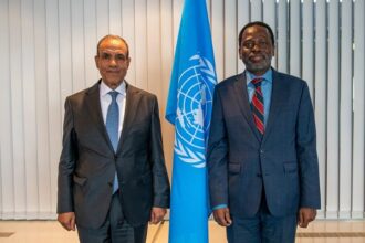 Egypt FM & African UN