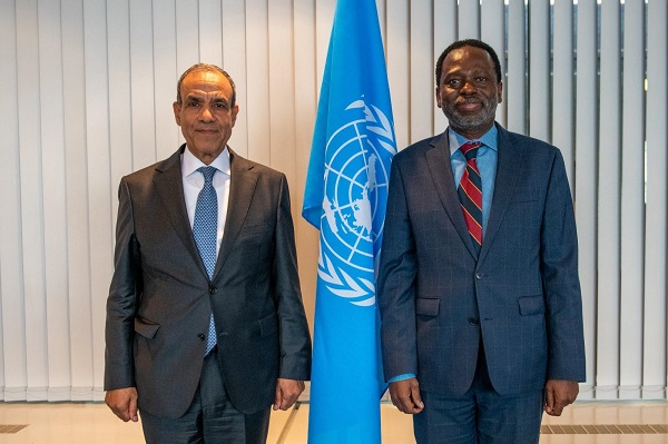 Egypt FM & African UN