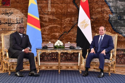 Sisi and Congolese President