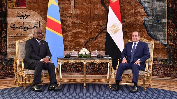 Sisi and Congolese President