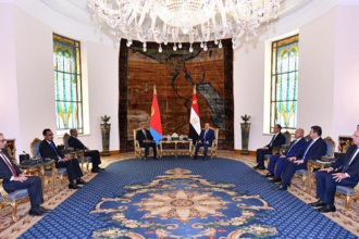Sisi and Eritrean President