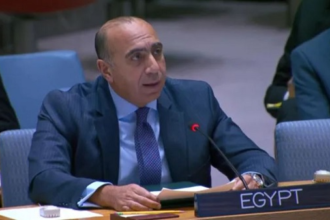Egypt UN Ambassador
