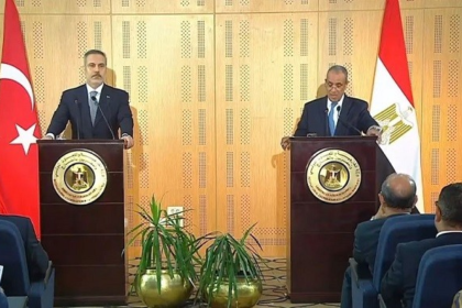 Egyptian and Turkish FMs 1
