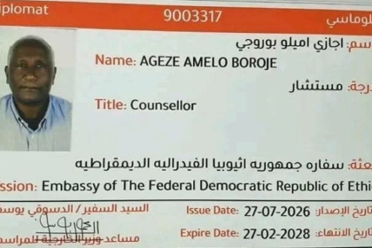 Ethiopian diplomat