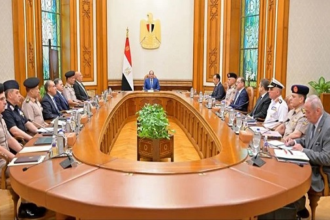 Sisi defense council